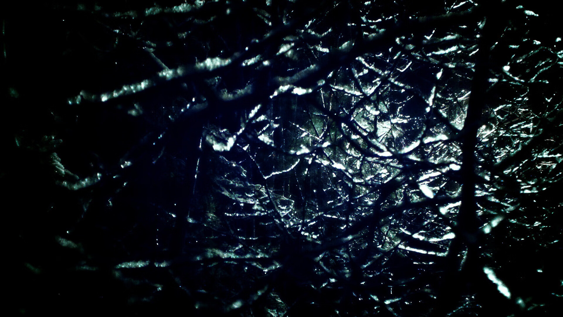 WRC赛事现场：氛围火爆燃爆场面，wrc 2022