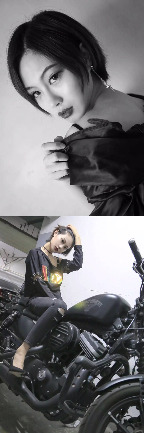 WRC赛事志:车手、团队与粉丝的故事,wrc参赛车队2020