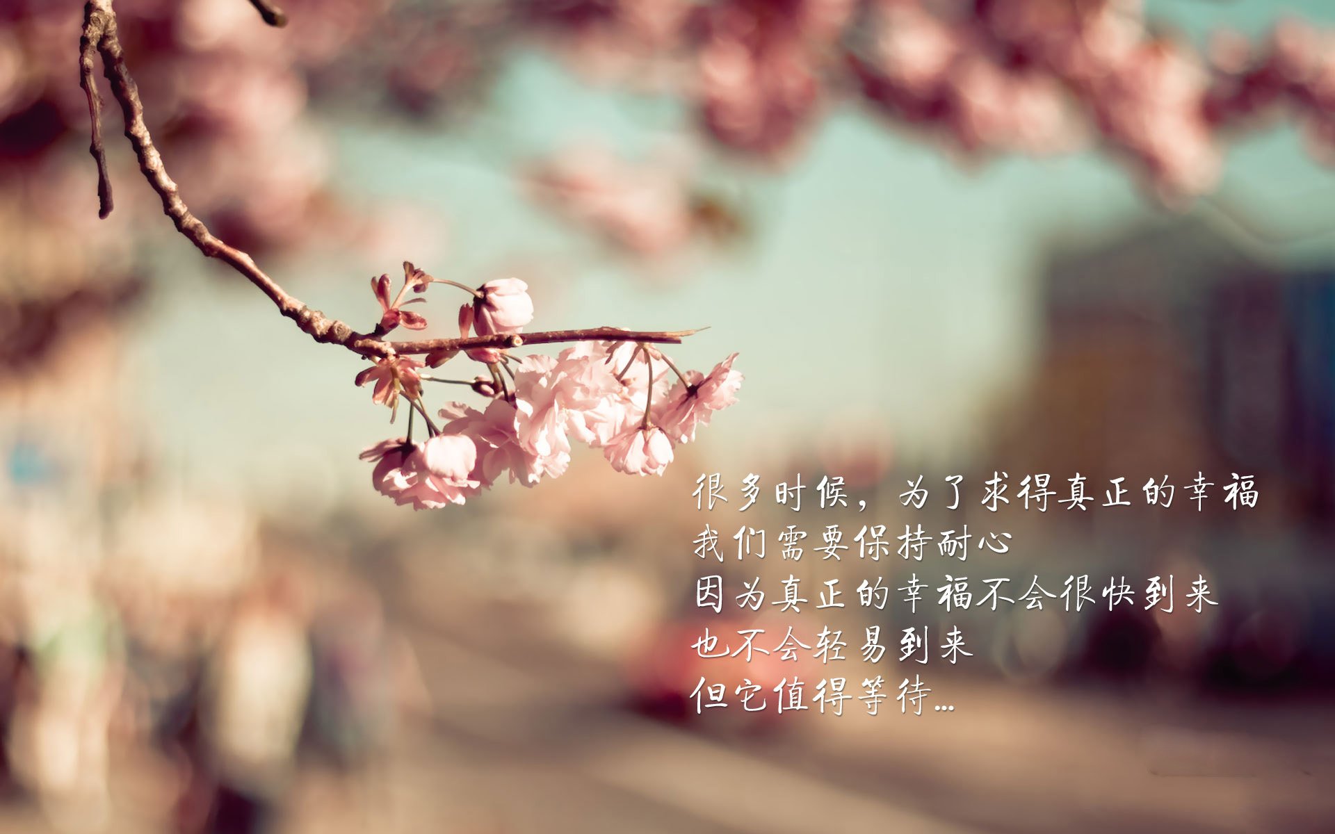 _梦想体育嘉年华:全民参与的欢乐盛典_,体育梦之队