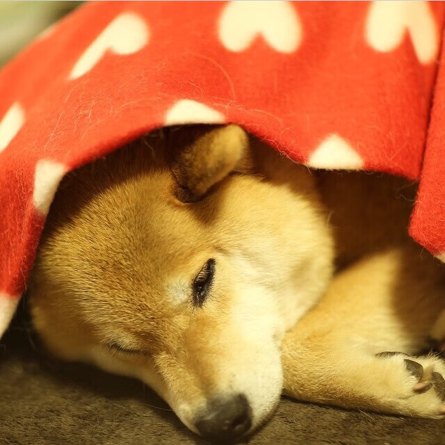 _热火队防守反击,展现强大实力_,热火对队员