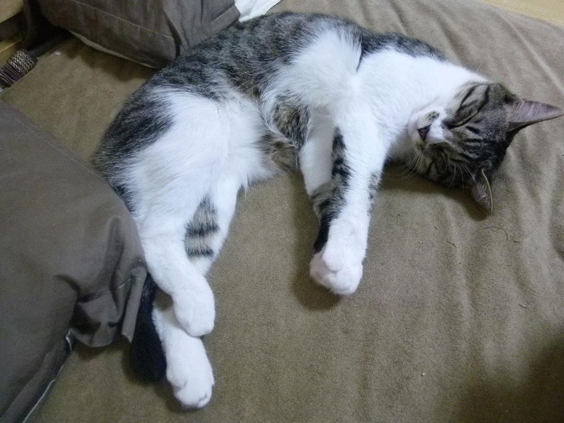 Kaiyun(中国)开云-“青春逐梦”青少年篮球明星选拔赛在北京盛大举行，发掘潜力新星