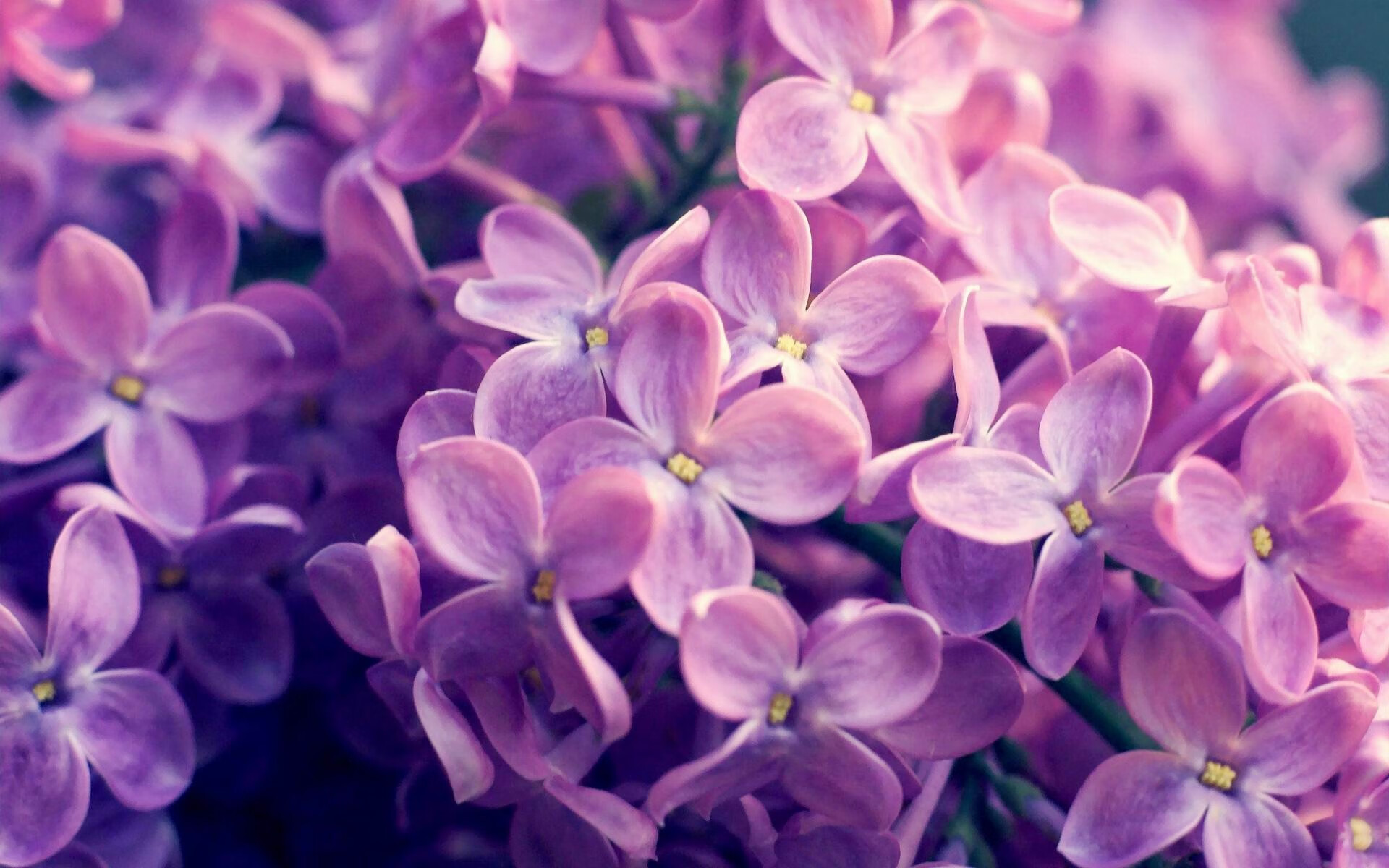 中国青少年篮球赛事标准化待推进,行业发展迎来新机遇,2020年全国青少年篮球比赛有哪些