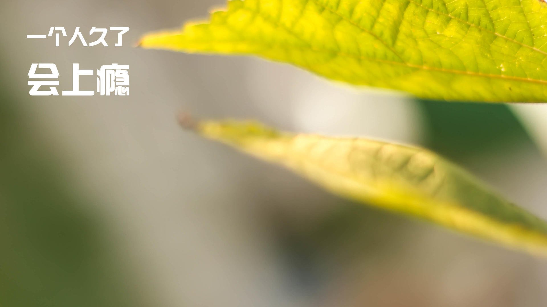 乡村特色乒乓球大会,乡土运动新体验,乡村少年宫乒乓球兴趣小组活动记录表