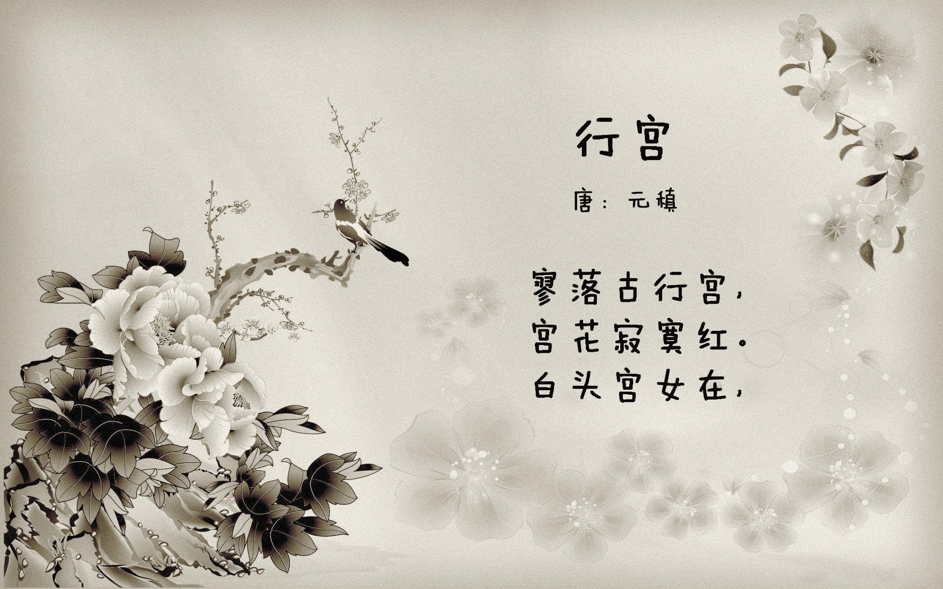 大师赛结束,冠军人物全纪录,大师赛冠军数量排名