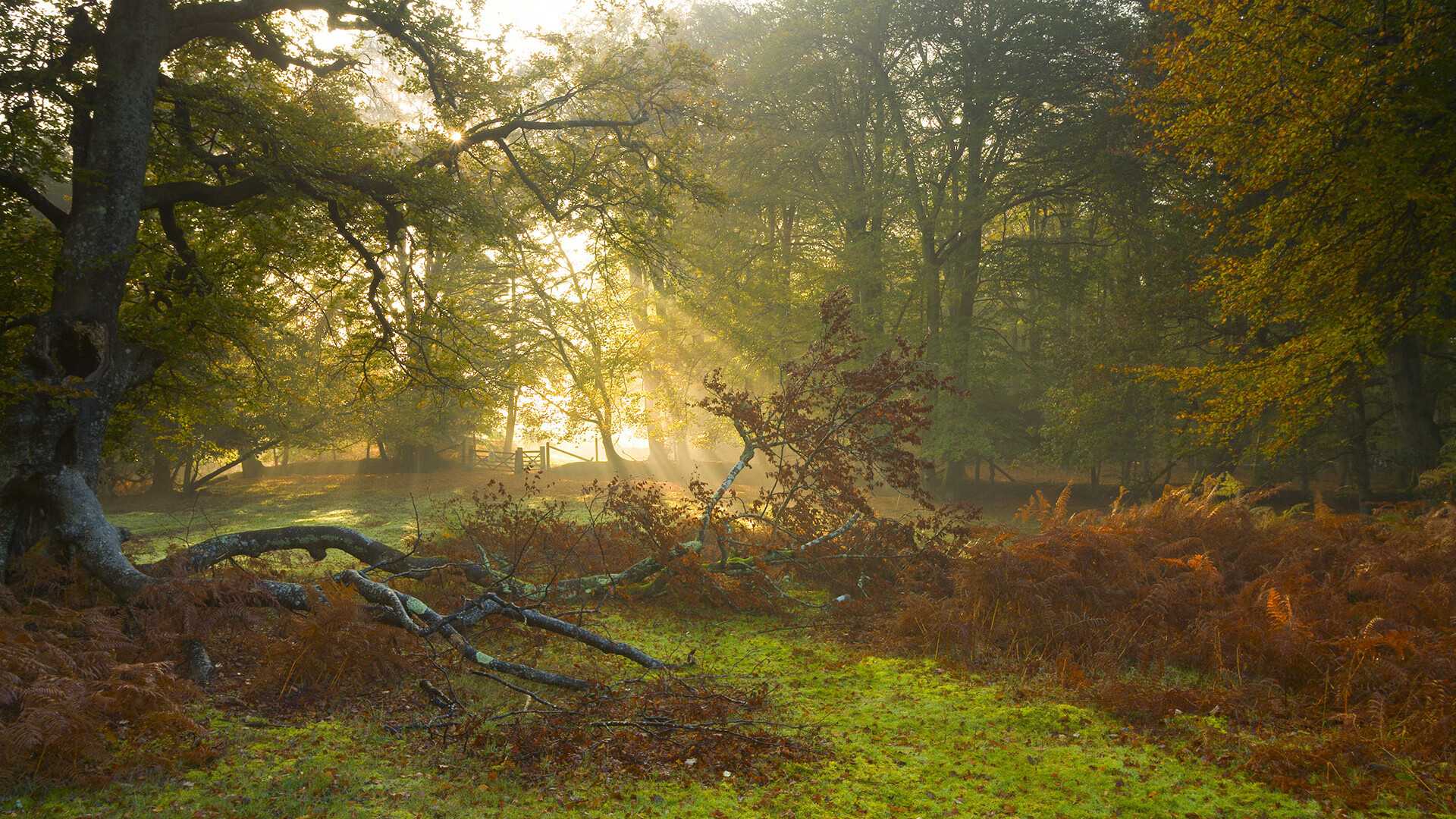 开云官网-巴黎圣日耳曼豪取连胜，士气高昂，巴黎圣日耳曼mmn