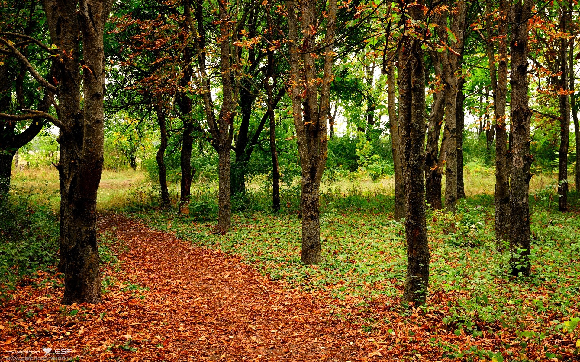 kaiyun体育app-星际争霸2“银河争霸”超级线下赛事盛大开启，星际争霸二宣传视频