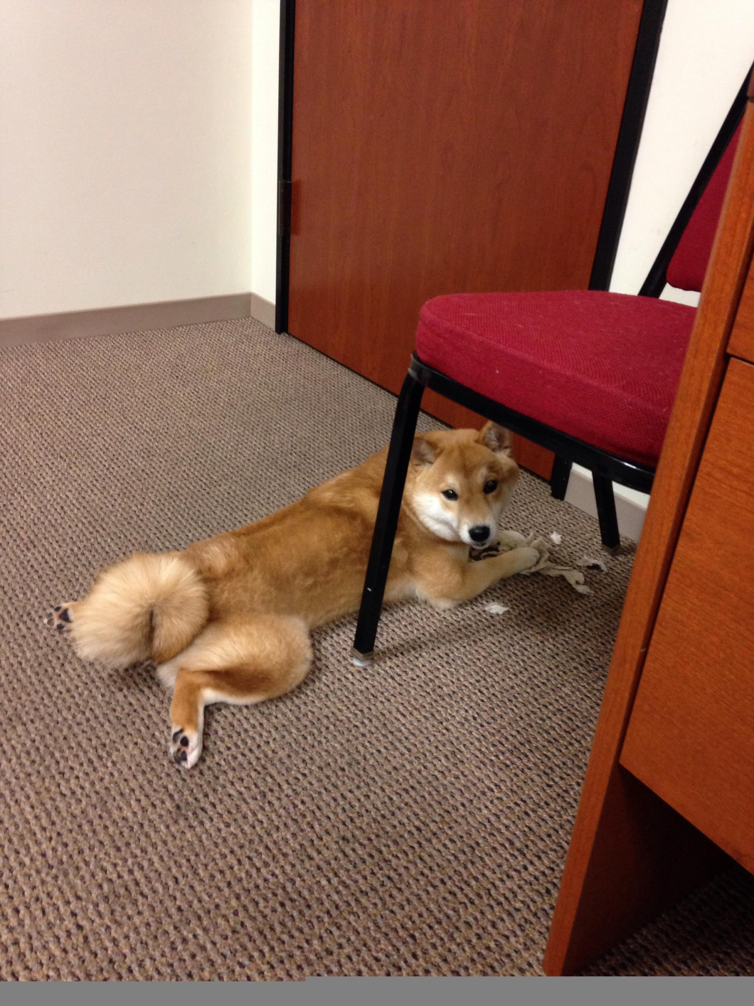 开云官网-奥克兰队险胜晋级，比什凯克队惜败，奥克兰是哪个球队的主场