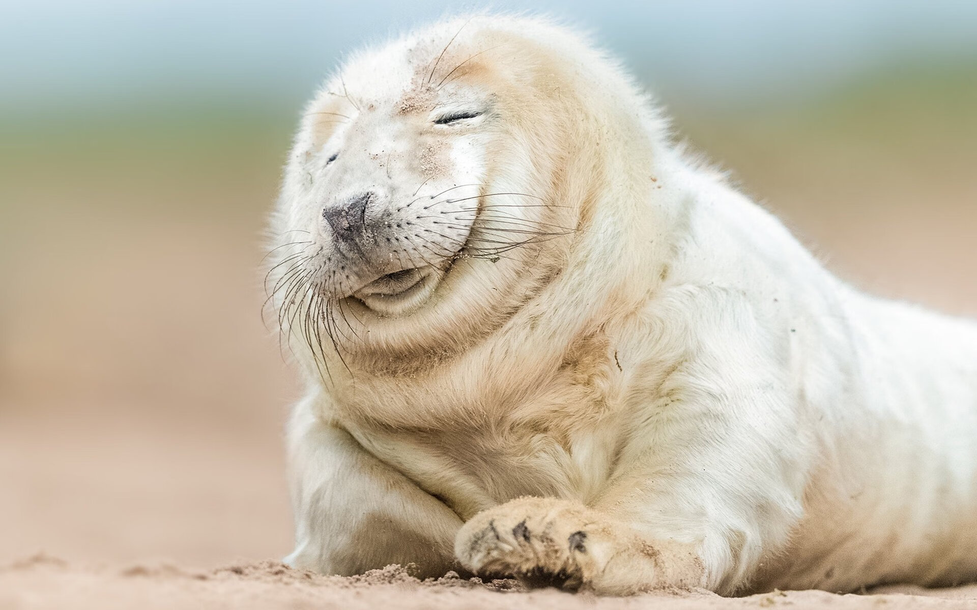 开云官方网页登录-杜塞尔多夫迎战柏林赫塔，争夺胜利，杜塞尔多夫怎么样