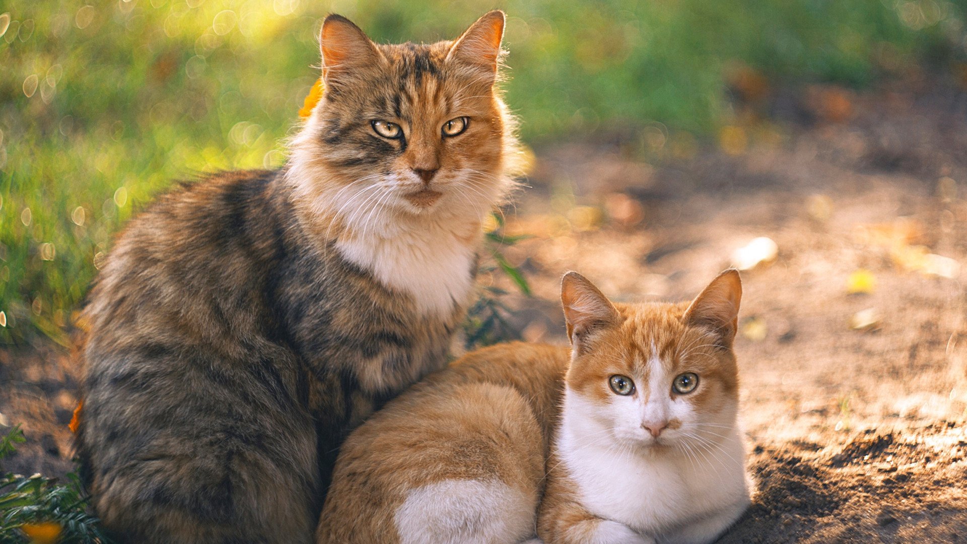热火爵士精彩对决,场上实力对决点燃球场,热火和爵士的比赛