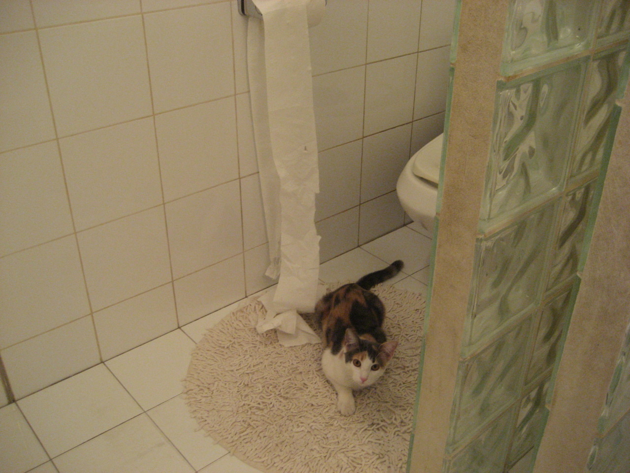 英格兰女足联赛观众人数创新高,英格兰女足队员