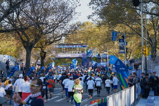 kaiyun体育app-全国大学生马拉松赛激情奔跑城市间，全国大学生马拉松联赛