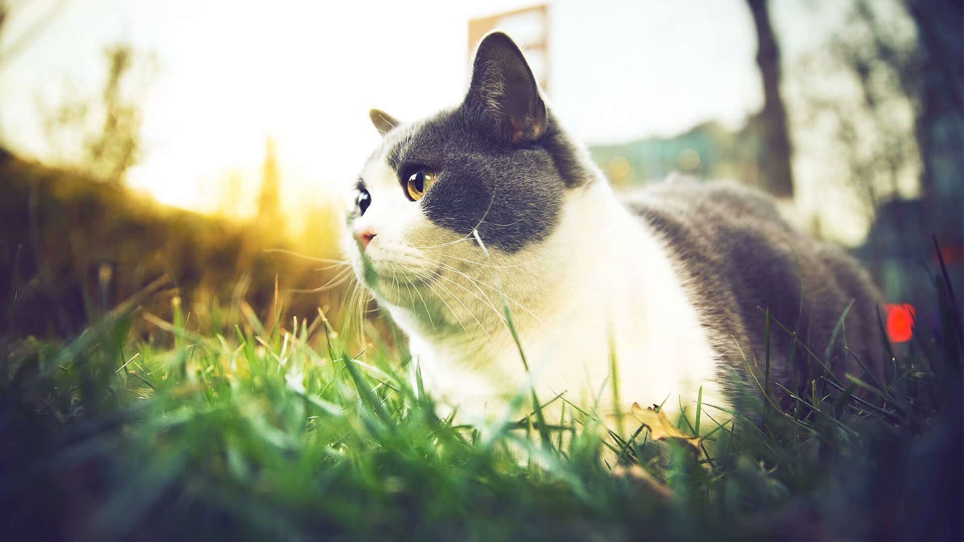 开云网页版-国家男篮增加国际热身赛磨合阵容与战术，男篮热身赛数据统计