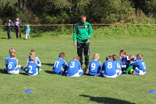 开云网站-新加坡队在国际乒联混合团体世界杯的战术执行力与技术突破，乒乓 新加坡