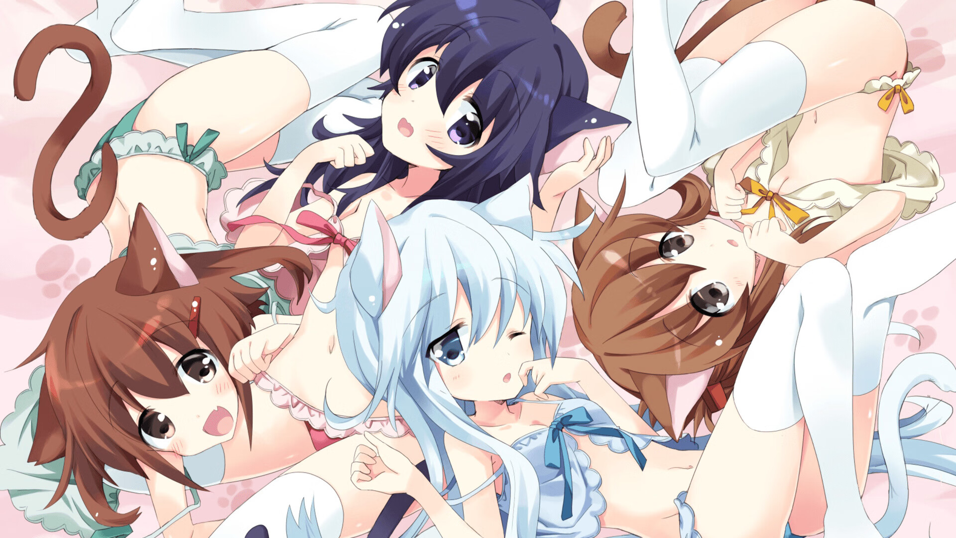 美队中距离自由泳优势渐显,美国自由泳接力