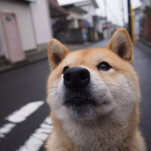 中场组织能力显著提升控球率与传球成功率双双上升,中场控球秀又花