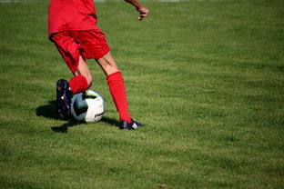 开云体育APP下载-国脚待遇结构调整引导更多球员留在国内发展，国家队国脚