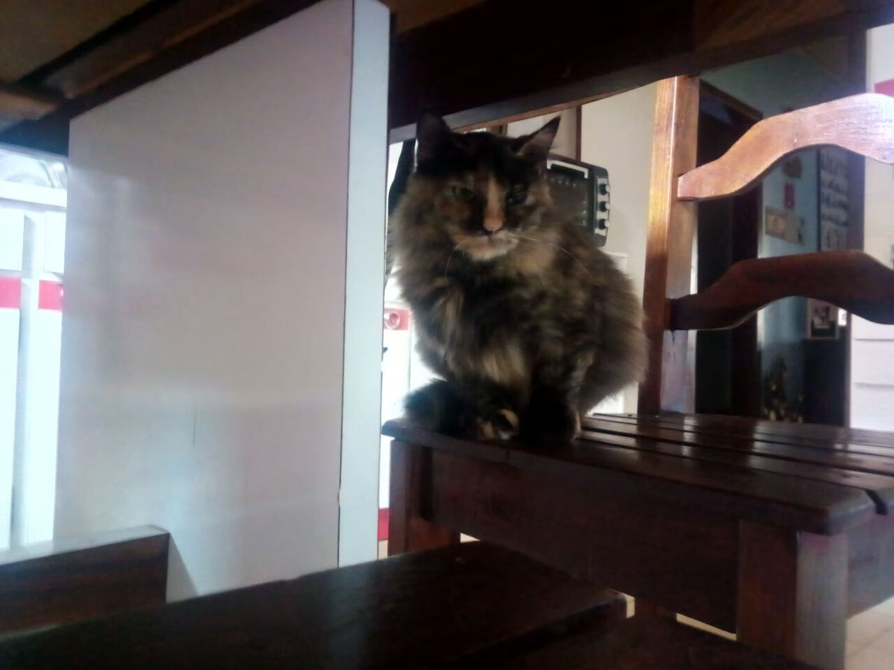 开云网页版-弗朗索瓦·斯图尔特：南非队的中场魔术师，关键传球成就得分机会