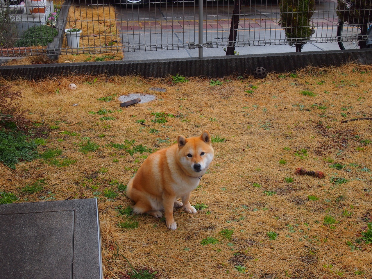 开云kaiyun-滑雪运动进入社区成为冬季体育亮点，滑雪活动简报