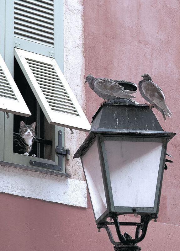 英超激烈拼搏:每场战斗都精彩绝伦!,英超争4